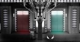 TheGardian